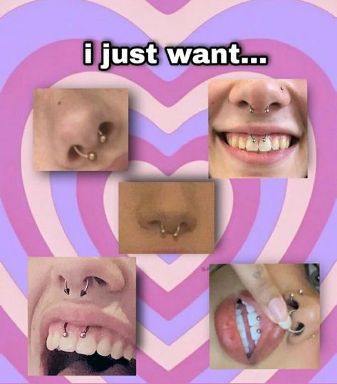 Septum And Smiley Piercing, Septum Piercing Aesthetic, Smile Piercing, Dream Piercings, Piercing Aesthetic, Pretty Piercings, 2025 Goals, Piercing Inspo, Smiley Piercing