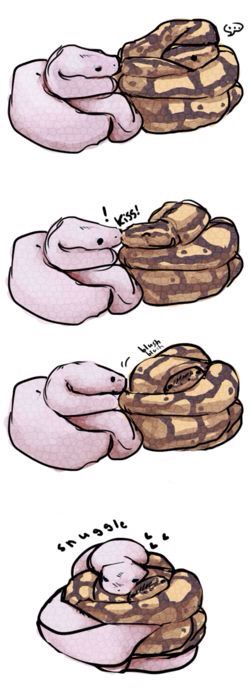 Snakes Cuddling, Snake Illustration Cute, Ball Python Drawing, Cute Snake Art, Snake Comic, Danger Noodles, Ball Pythons, Cartoon Strip, Cute Reptiles