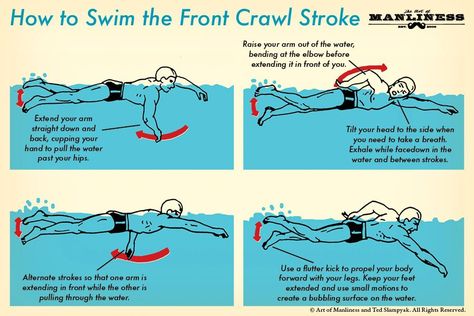 Utilizing constantly rotating arms, flutter-kicking legs, and efficient breathing techniques, the front crawl is sure to get you from A to B in a hurry. Different Swimming Strokes, Backstroke Swimming, Swimming For Beginners, Freestyle Swimming, Swimming Drills, Swim Technique, Swimming Benefits, Swimming Strokes, How To Swim