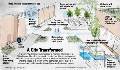 A city transformed:  Storm water Management Storm Water Management, Water In Urban Design, Water Management Landscape Architecture, Storm Water Management Landscape Architecture, Sustainable Urban Drainage Systems, Water Infrastructure, Master Thesis, Water From Air, Stormwater Management