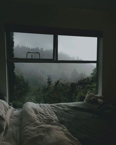 Instagram post by Wild Free • Oct 7, 2021 at 6:20pm UTC Rainy Window, Forest Bedroom, Rain Window, Rainy Day Aesthetic, Night Rain, Comfy Bedroom, Forest View, Dark Paradise, Misty Forest