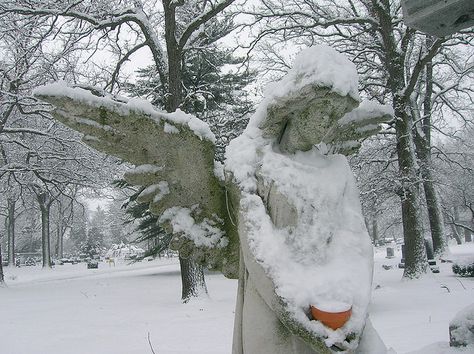 close up. Chicago Forest Angel Aesthetic, Eerie Christmas Aesthetic, Winter Woods Illustration, Scary Winter Aesthetic, Creepy Winter Aesthetic, Nocturne Aesthetic, Snow Aesthetic Dark, Yearning Art, Winter City Aesthetic