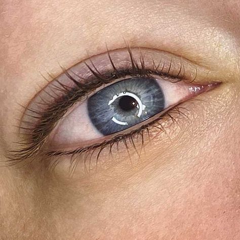 Permanent Eyeliner Blue Eyes, Permanent Eyeliner Natural, Permanent Brown Eyeliner, Permanent Eyeliner Bottom Only, Permanent Eyeliner Styles Tattoo, Permanent Eyeliner Styles Natural, Brown Permanent Eyeliner, Permanent Eye Makeup, Ombre Eyeliner Tattoo