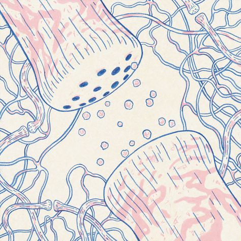 via GIPHY illustration of chemical communication across a synapse of a brain cell (neuron). Communication Illustration, Brain Illustration, Biology Art, Brain Art, Science Illustration, Bio Art, Medical Art, Scientific Illustration, Medical Illustration