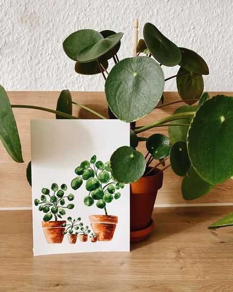 PLANTS & WATERCOLOR on Instagram: “Pilea family wishes you a good weekend ☺️💚🌿 • • #plantpainting #pilealovers #plantloversofinstagram #plantillustration #plantinspiration…” Family Wishes, Watercolor Plants, Plant Painting, Plant Illustration, Plant Art, Plant Lover, Planter Pots, Plants, Instagram