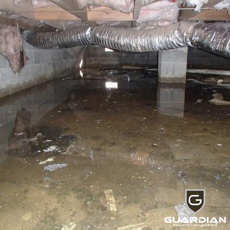 Learn how crawl space repair can take care of standing water in the crawl space after heavy rain. Crawl Space Ventilation, Crawl Space Insulation, French Drain Installation, Gutter Drainage, Sump Pump Installation, Crawl Space Repair, Crawl Space Encapsulation, Crawl Space Foundation, Flooded Basement