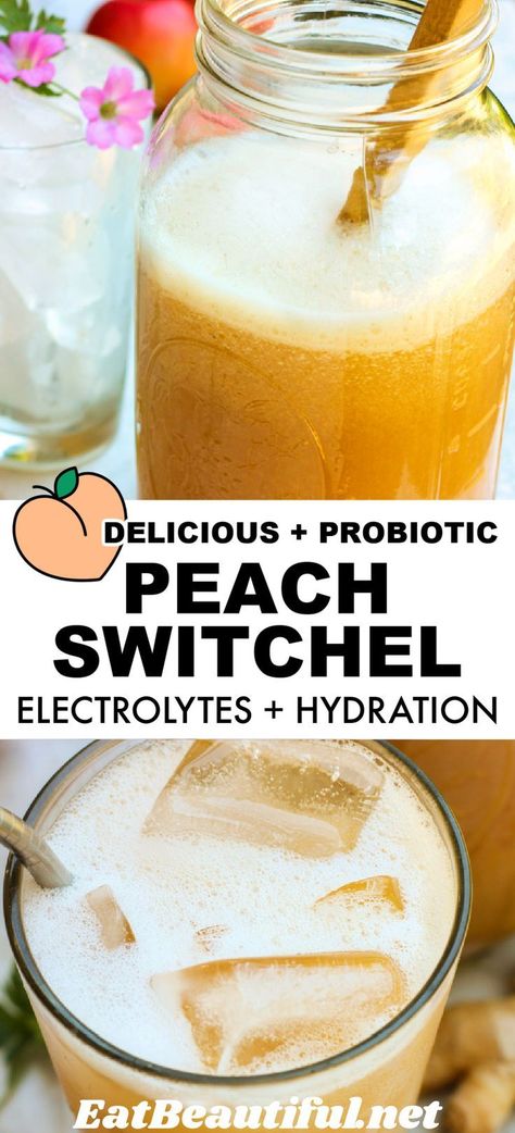 Fermented Drinks Recipes, Switchel Drink Recipe, Herbalist Kitchen, Aip Drinks, Fermentation Station, Electrolyte Drink Recipe, Switchel Recipe, Nonalcoholic Drink, Lost Recipes