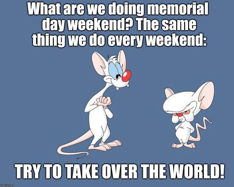 27+ Memorial Day Memes For Facebook - Funny Pictures Photos (2020 Updated) Weekend Memes Funny, Memorial Day Pictures, Memorial Day Thank You, Fourth Of July Quotes, Happy Memorial Day Weekend, Comic Pages, Military Memes, Memorial Weekend, Facebook Humor