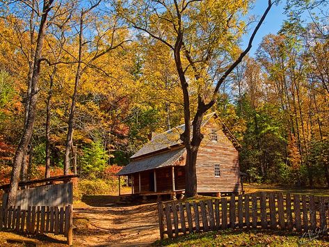 Smokey Mountain Cabins, The Smokey Mountains, Tennessee Cabins, Cades Cove Tennessee, Smoky Mountains Vacation, Architecture Sketchbook, Cades Cove, Autumn Foliage, Mountain Vacations