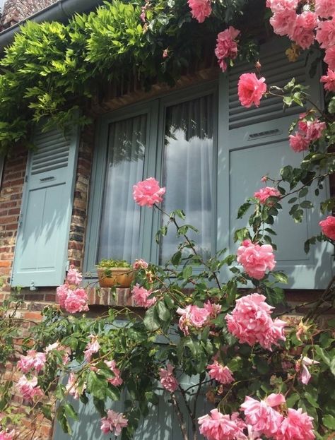 Roses Bouquet Gift, Photography Places, Dream Cottage, Garden Windows, Classy Aesthetic, Flower Child, Rose Bouquet, The Real World, Cottage Core