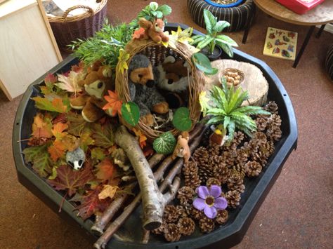 Autumn sensory tray with woodland animals Woodland Sensory Play, Woodland Tuff Tray Ideas, Hedgehog Tuff Tray, Woodland Tuff Tray, Woodland Animals Activities, Autumn Tuff Tray Ideas, Autumn Sensory Tuff Tray, Autumn Tuff Tray Ideas For Babies, Autumn Animals Eyfs