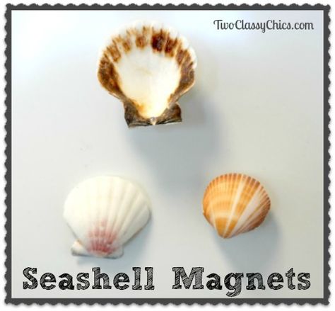 Seashell Magnets Diy, Handmade Beachy Shell For Vacation, Ocean-inspired Shell As Summer Gift, Seashell Magnets, Shell Magnets, Santa Seashell Ornaments, Magnet Diy, Handmade Ocean-inspired Shell For Beach Season, Senior Crafts