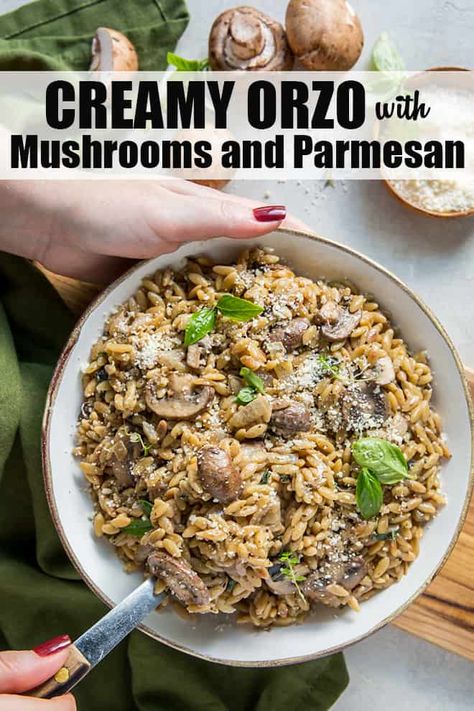 This Creamy Orzo with Mushrooms and Parmesan recipe is a delicious way to add some interest to an otherwise ordinary menu. Mushrooms, garlic, and fresh herbs combine with orzo, a touch of sour cream and Parmesan to create this special side dish. Orzo Parmesan, Orzo With Mushrooms, Orzo Recipes Side, Orzo Dinner Recipes, Rice And Potatoes, Alternative To Rice, Creamy Orzo, Italian Cuisine Recipe, Parmesan Recipe