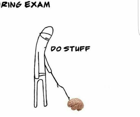 During exam. Me Anti Cheating Folder, Exam Tension, Exam Memes, Stuff To Do, Bobby Pins, Peace Gesture, Hair Accessories, Memes, Funny