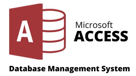 Ms Access, Microsoft Access, Access Database, Coding Tutorials, Database Management System, Class 10, Data Entry, Computer Science, The North Face Logo