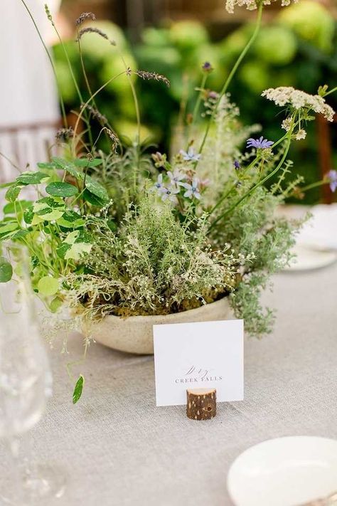 Herb Arrangements Centerpieces, Meadow Arrangement Wedding, Foraged Wedding Flowers, Potted Herbs Wedding Centerpiece, Herb Table Centerpieces, Potted Plant Wedding Centerpieces, Green Table Arrangements, Potted Plant Centerpieces Wedding, Herb Wedding Centerpieces