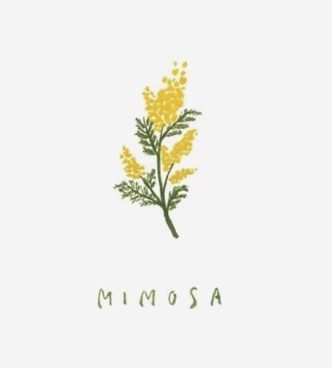 Mimosa Flower, Mimosa, Flower Tattoos, Body Art Tattoos, Flower Tattoo, Body Art, Tattoos, Flowers, Art