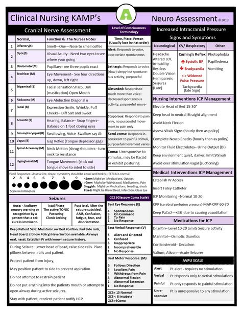 Over 4000 NCLEX questions, Free Digital Books Study Sheets and Digital Books. Nursing resources for students and nurses. Neuro Assessment, Neuro Nursing, Telemetry Nursing, Nursing Documentation, Neuro Nurse, Emt Study, Funny Parents, Nursing Cheat Sheet, Nurse Educator