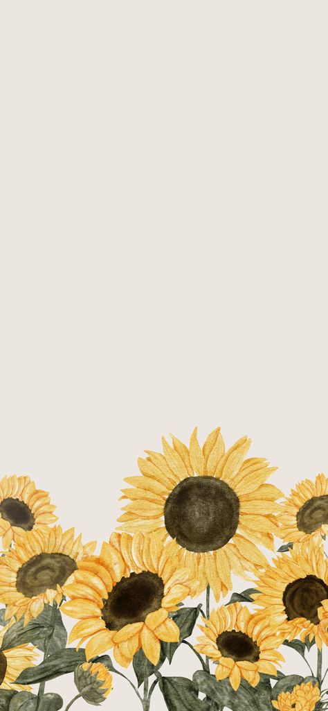 Flower Wallpaper Sunflower, Sunflower Wallpaper Aesthetic Vintage, Sunflower Wallpaper Iphone, Wallpaper Sunflower, Sunflower Iphone Wallpaper, Sunflower Wallpaper, Wall Papers, Aesthetic Vintage, Flower Wallpaper