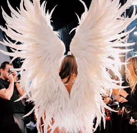 Vs Backstage, Victoria Secret Wings, Victoria Secret Angel Wings, Victoria's Secret Aesthetic, Angel Halloween, Victoria Secret Angel, Victoria's Secrets, Victoria Secret Model, Model Off Duty