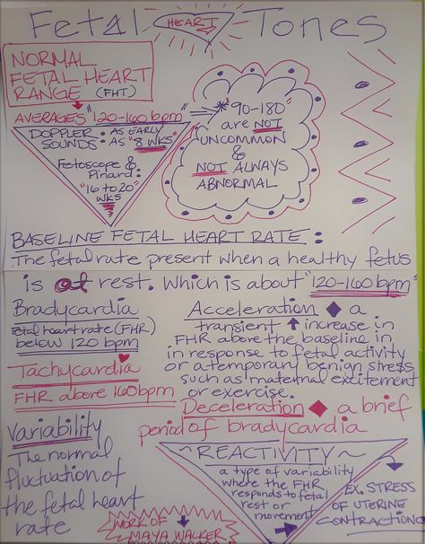 Normal fetal heart rate range, when can fetal heart tones be obtained with Doppler, Fetoscope and Pinard horn and definitions of the following terms:  Baseline fetal heart rate, Bradycardia, Tachycardia, Acceleration, Deceleration, Variability, Reactivity Fhr Monitoring Nursing, Maternal Nursing, Midwife Assistant, Obstetrics Nursing, Fetal Heart Rate, Child Nursing, Ob Nursing, Delivery Nurse, Nursing School Tips