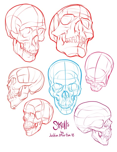 Pose Reference Scull Drawing Reference, Person Holding Skull Reference, Skull Art Reference, How To Draw Skull, Skull Reference Drawing, How To Draw A Skull, How To Draw Skulls, Skull Drawing Reference, Poses For Artists