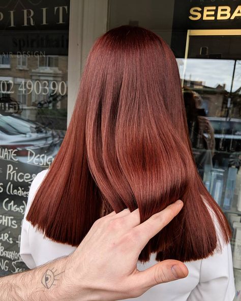 Red Cinnamon Hair Color, Brown To Auburn Hair, Dark Red Copper Hair Color, Deep Copper Hair Color Dark Auburn, Red Auburn Hair Color, Dark Brown Red Hair Auburn, Dark Red Copper Hair, Dark Copper Hair Auburn, Brunette To Copper Hair