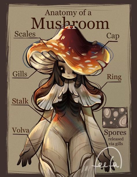 Mushroom Dragon Drawing, Mushroom Anatomy Drawing, Fantasy Species Humanoid List, Fantasy Diseases, Fantasy Illness, Fantasy Species Humanoid, Mushroom Character Design, Mushroom Human, Mushroom Oc