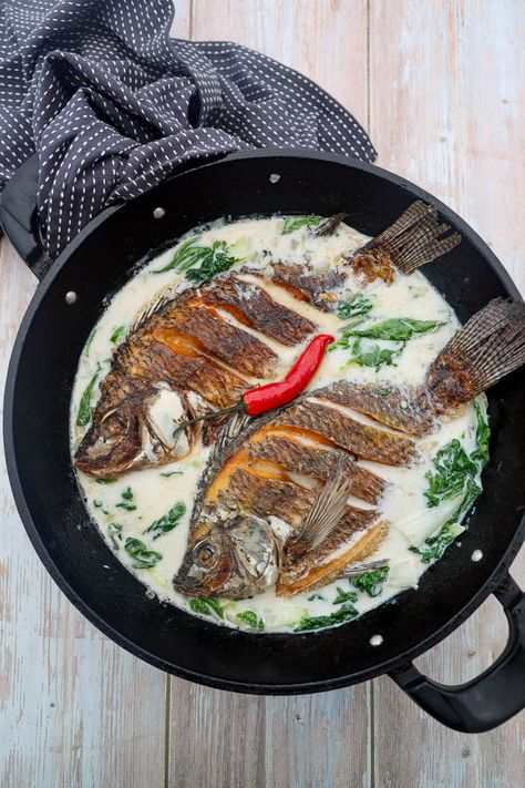 Ginataang Pritong Tilapia - Exploring the rich flavours of Filipino cuisine with a dish that’s crispy, creamy, and oh-so-satisfying. Who can resist this comfort food delight? 🍽️ #FlavorsOfHome #FilipinoFood. Dive into the world of Filipino cuisine with Ginataang Pritong Tilapia, a flavourful dish featuring crispy fried tilapia in a creamy coconut milk sauce. If... Ginataang Tilapia Recipe, Fish In Coconut Milk, Fried Tilapia Recipes, Coconut Milk Sauce, Fried Tilapia, Filipino Cuisine, Hearty Lunch, Tilapia Recipes, Coconut Sauce