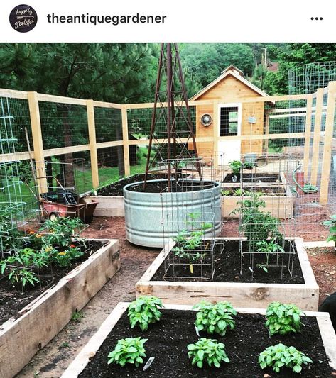 My friend @theantiquegardener has the sweetest garden and chicken coop. I’ve been telling her she needs to sell the plans for her chicken coop in her shop @theantiquegardener . It is too cute and very functional. Garden And Chicken Coop, Sims Farm, Homestead Skills, Harvest Garden, Raised Gardens, Veggie Gardens, Edible Gardens, Backyard Farm, Vertical Vegetable Garden