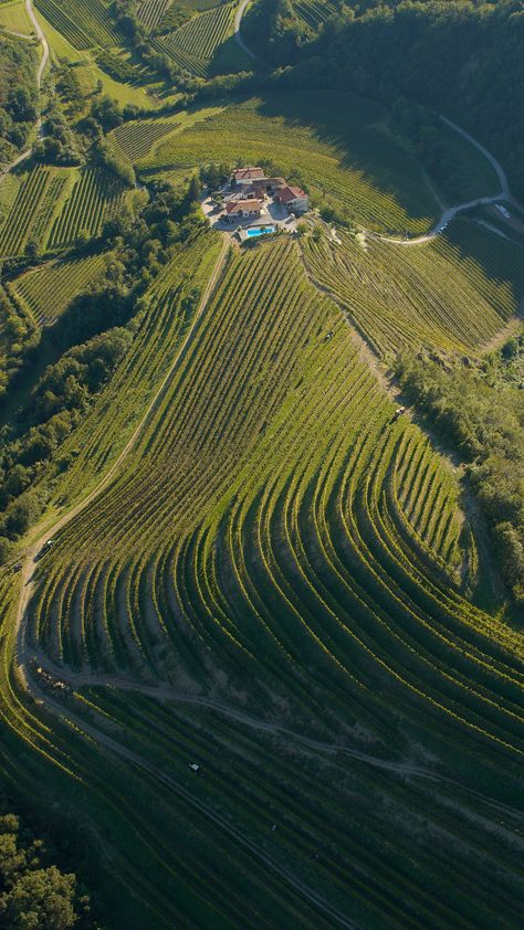 Čarga winery - Winery in Slovenia Dawn Winery Aesthetic, New Zealand Wineries, Mendoza Wineries, Rombauer Winery, Promontory Winery, Wine White, Wine Tourism, Wine Travel, Wine Lover