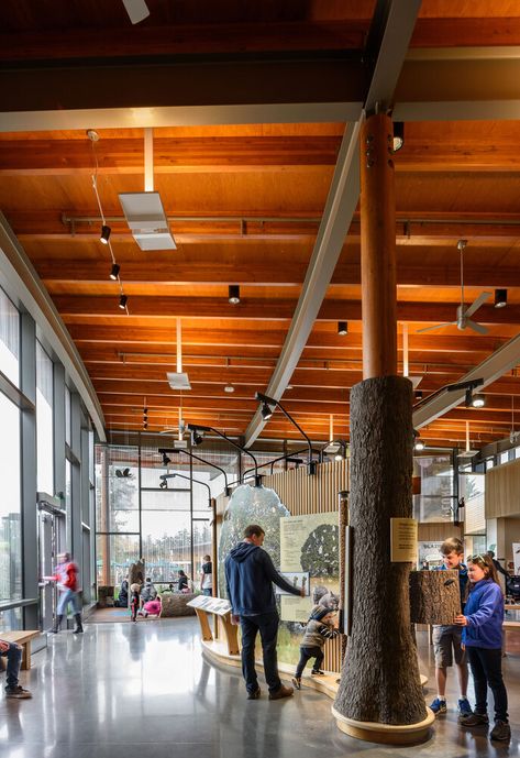 Gallery of Oregon Zoo Education Center / Opsis Architecture - 9 Zoo Education, Zoo Architecture, Lobby Design, Organic Architecture, Rain Garden, Education Center, Modern Fan, Building Exterior, Environmental Science