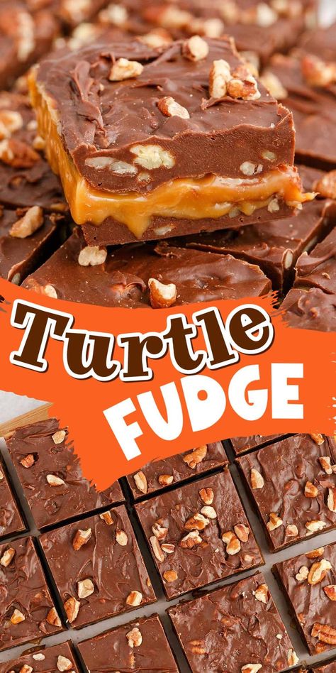 Turtle Fudge Recipes Easy, Sea Salt Caramel Fudge Recipe, Home Made Turtle Candy, Soft Candy Recipes, Carmel Turtles Homemade, Toll House Famous Fudge Recipe, Different Fudge Recipes, Caramel Coffee Fudge, Banana Fudge Recipes