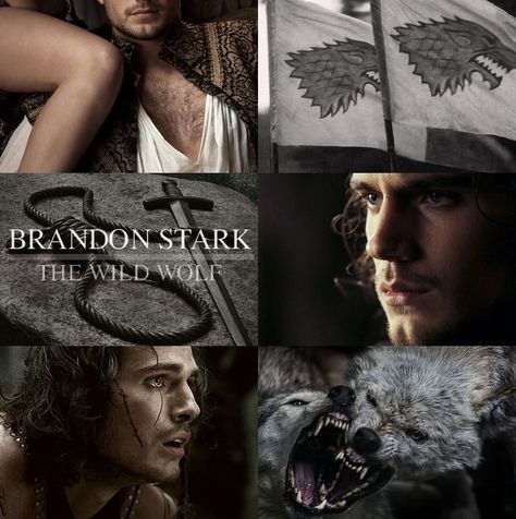 Benjen Stark Aesthetic, Brandon Stark Wild Wolf, Brandon Stark, Ashara Dayne, Rhaegar Targaryen, Lyanna Stark, Game Of Thrones 3, Game Of Thrones Tv, Game Of Thrones Quotes