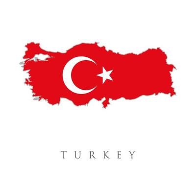 Crescent Moon and Star Turkish Flag, Turkey flag map. The flag of the country in the form of borders. Stock vector illustration isolated on white background. 6637960 Vector Art at Vecteezy Holland Flag, Country Flags Icons, Romania Map, Romanian Flag, Insta Story Highlights, Highlights For Instagram, Austria Flag, Netherlands Flag, English Flag