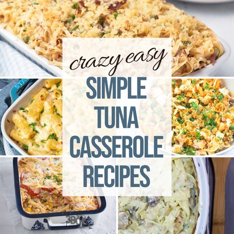 You’ll love having this list of Simple Tuna Casserole Recipes! It’s the perfect way to plan your meals and know what to make for the day! There are so many flavorful casserole recipes on this list! Keep this list handy the next time you need to find a recipe to use the tuna in the … Hot Tuna Casserole, Tuna Casserole For 2, Small Batch Tuna Noodle Casserole, Slow Cooker Tuna Noodle Casserole, Tuna Hotdish Casseroles, Simple Tuna Casserole, Tuna Dinner Recipes, Tuna Casserole Easy, Leftover Casserole