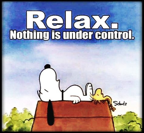 Relax. Nothing is under control life quotes quotes life life quotes and sayings quotes to live by best life quotes Relaxing Quotes Funny Humor, Relax Nothing Is Under Control, Happy Saturday Pictures, Happy Wednesday Pictures, Hippie Pictures, Happy Friday Pictures, Snoopy Art, Saturday Pictures, Monday Pictures