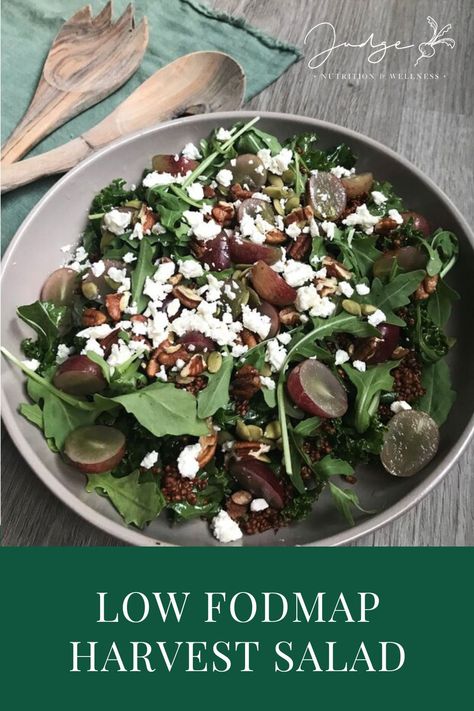 Low FODMAP Low Fodmap Fall Salad, Low Fodmap Kale Salad, Fodmap Salad Recipes, Low Fodmap Salads, Low Fodmap Salad, Fodmap Salad, Fodmap Meals, Fodmap Lunch, Nutritional Yeast Recipes