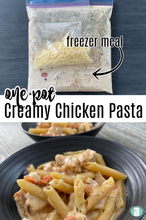 Experience less dishes but more taste with this One Pot Creamy Chicken Pasta. #freezermeals101 Freezable Pasta Sauce, Chicken Pasta Freezer Meal, Pasta Freezer Meals, Meals Postpartum, Chicken Pasta Sauce, Pregnancy Freezer Meals, Freezer Casseroles, Monthly Meals, Postpartum Meal