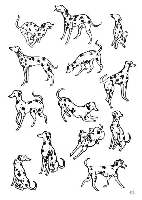 Dalmation Drawing, Dalmation Illustration, How To Draw A Dalmation Dog, Dalmatian Tattoo, Dalmatian Doodle, Dalmation Puppy Drawing, Dalmatian Drawing, Dalmatian Puppy Drawing, 101 Dalmations Sketch