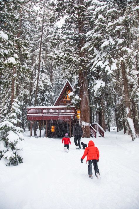 Snowy Days Spent in the Lake Tahoe Area #Tahoe #LakeTahoe #Reno #Nevada #California #Lake #vacation #family #vacay #trip #staycation #roadtrip #america #bestplaces #prettyplaces #instagrammable #snow #skiing #snowboarding #swimming #boating #hiking #nature #wheretogo #wanderlust #photography #tourism #summer #winter #explore America Snow, Tahoe Snow, Tahoe Winter, Snow Fort, Tahoe Trip, December Christmas, Winter Beach, Happy December, Visit California