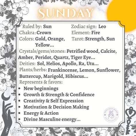 Sun Witch, Birthday Month Flowers, Witchy Academia, Sun Day, Elemental Magic, Magic Spell Book, Grimoire Book, First Sunday, Wiccan Spell Book