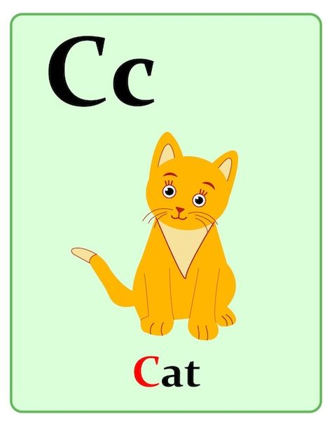 Alphabet flashcard with letter c for cat | Premium Vector #Freepik #vector #alphabet-tracing #flashcard #alphabet-letter #kids-worksheet Flashcard Alphabet, C For Cat, Alphabet Flash Cards Printable, Back To School Wallpaper, Back To School Funny, C Is For Cat, Kids Worksheet, Vector Alphabet, Kindergarten Reading Worksheets