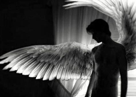 Fallen Angel Aesthetic, Male Angel, Angel Man, Angel Aesthetic, White Angel, White Wings, Black Wings, Dark Angel, Angels And Demons