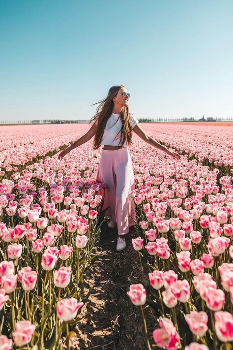 Spring Picture Ideas, Amsterdam Photos, Summer Picture Poses, Spring Photoshoot, Flower Photoshoot, Tulip Festival, Spring Pictures, Farm Photo, Tulip Fields