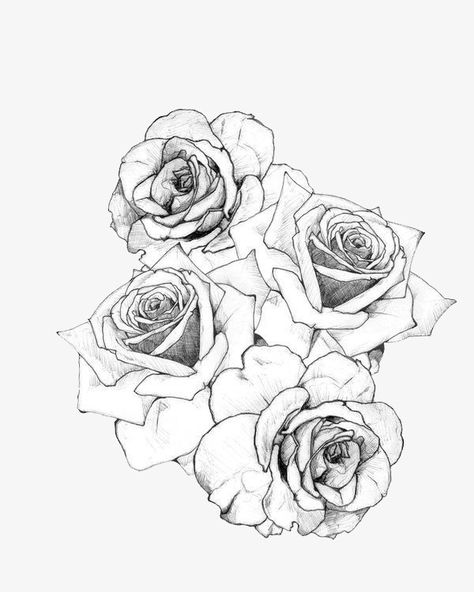 Tattoo Pencil, Rose Tat, Kunst Tattoos, Realistic Rose, Roses Tattoo, Rose Tattoo Design, White Drawing, Tattoo Kits, Girly Tattoos