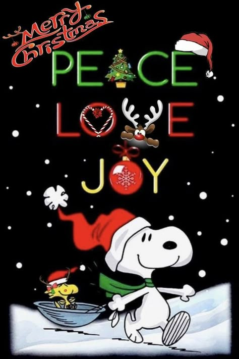 Christmas Thoughts, Snoopy Images, Snoopy Wallpaper, Peanuts Christmas, Snoopy Love, Charlie Brown Christmas, Snoopy Christmas, Charlie Brown Peanuts, Charlie Brown And Snoopy