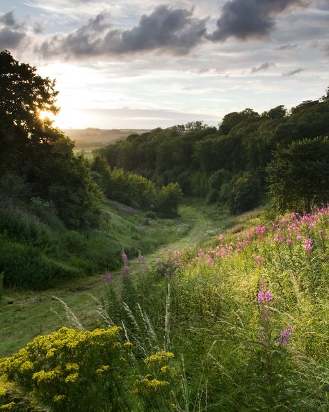 Yorkshire Wolds, Nature Rose, Rose Bay, Open Field, English Countryside, Nature Aesthetic, Pretty Places, Mother Earth, Beautiful World