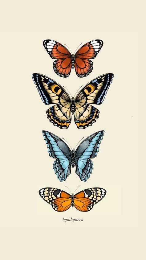 Wallpaper Butterflies, Art Bio, Photo Papillon, Butterfly Art Drawing, Butterfly Art Painting, Illustration Style, Vintage Poster Art, Dessin Adorable, Iphone Background Wallpaper