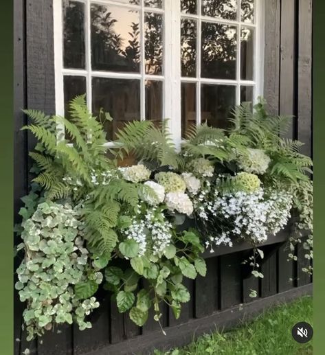 Hydrangea Aesthetic, Hillside Pool, Greens Garden, Pool Bed, Garden River, Conservatory Greenhouse, Lawn Landscape, Small Yards, Covered Patios